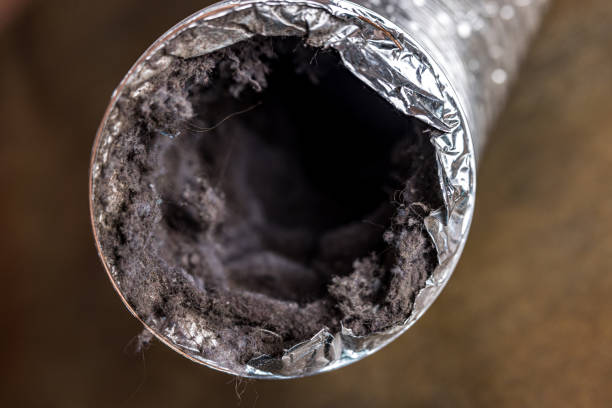 Best Air Duct Cleaning Near Me  in Baraga, MI
